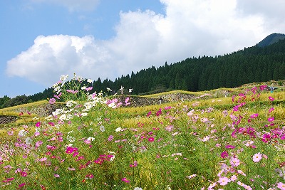 d0114583_13495058.jpg