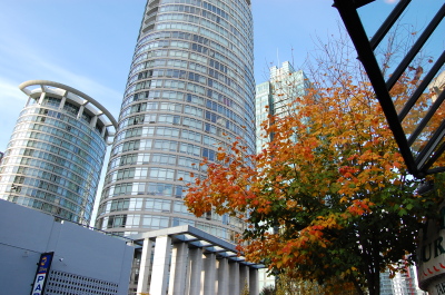 d0129786_14143995.jpg