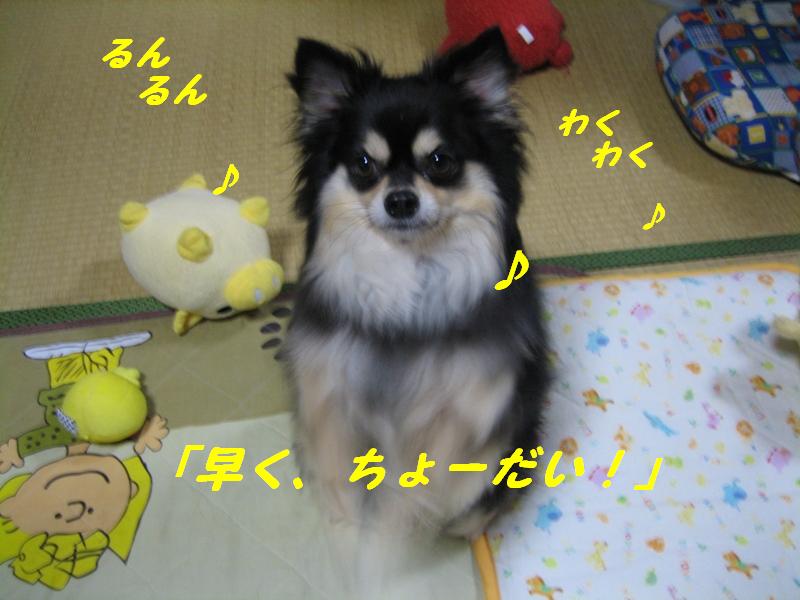 b0150088_2218919.jpg