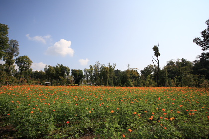 f0103797_9312354.jpg