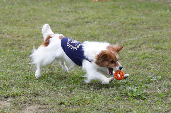 c0044199_11293332.jpg