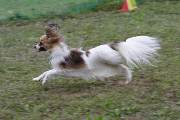 c0044199_1135317.jpg