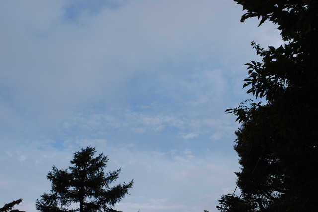 b0136300_2216597.jpg