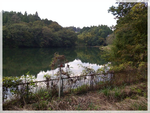 c0171001_154184.jpg