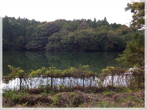 c0171001_1543513.jpg