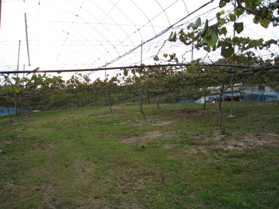 d0116205_21383155.jpg