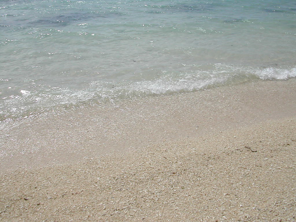 c0132608_13132994.jpg