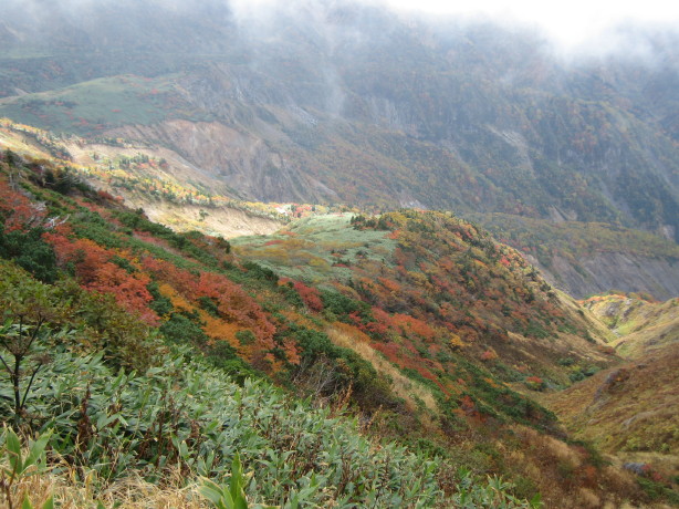 d0103314_0213321.jpg