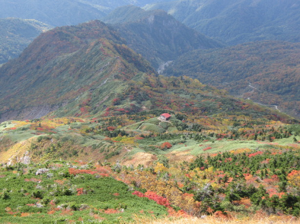 d0103314_023640.jpg