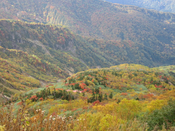 d0103314_042461.jpg