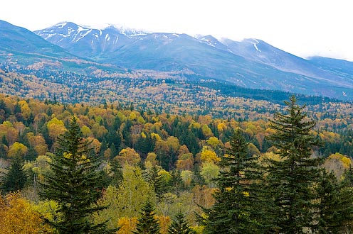 e0025030_17235932.jpg