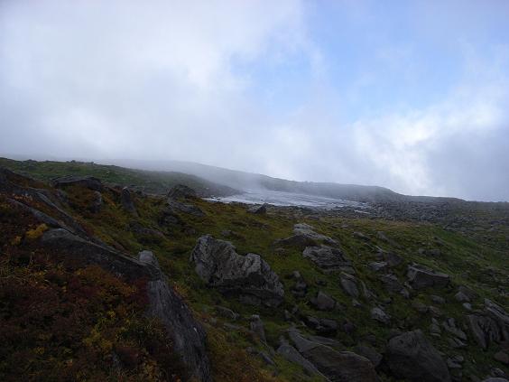 f0118332_117404.jpg