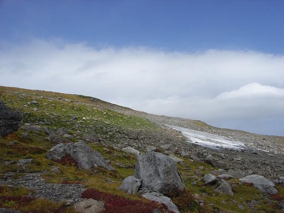 f0118332_913113.jpg