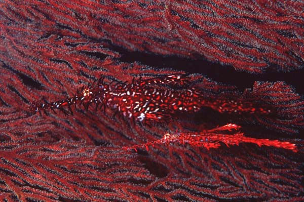 b0042837_21335746.jpg