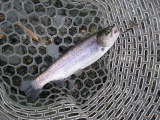 f0065341_11152027.jpg