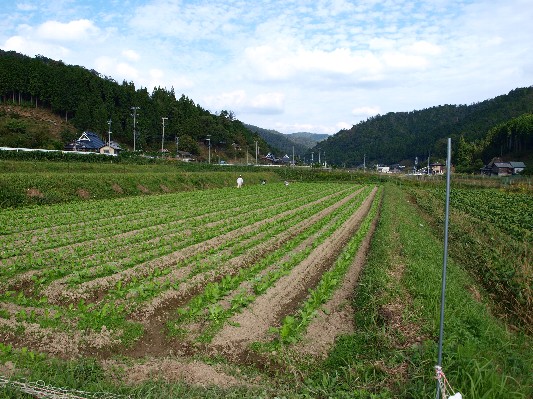 c0072843_2035468.jpg