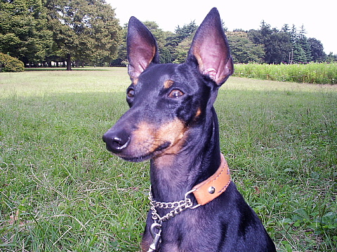 c0123149_017588.jpg