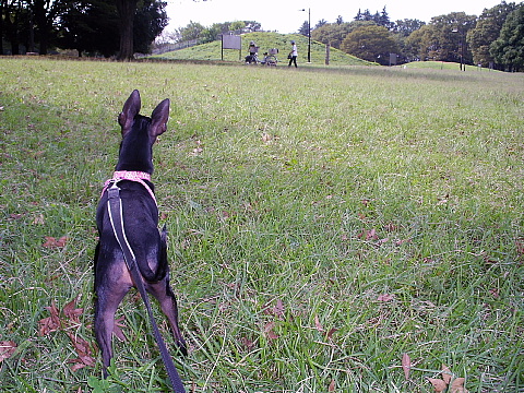 c0123149_0473395.jpg
