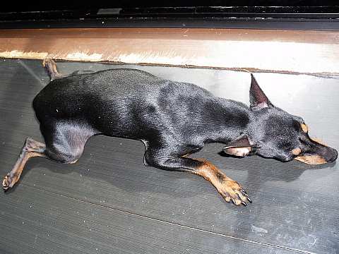 c0123149_0541187.jpg
