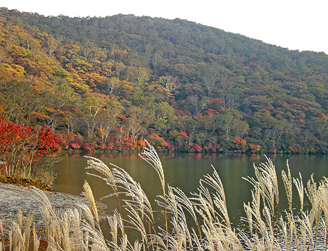 a0001354_201435.jpg