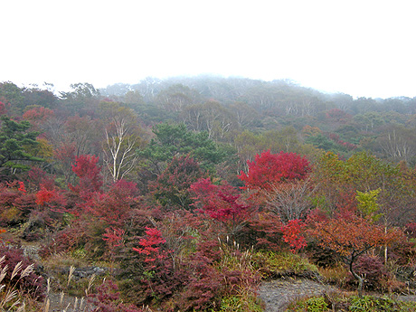 a0001354_2032439.jpg