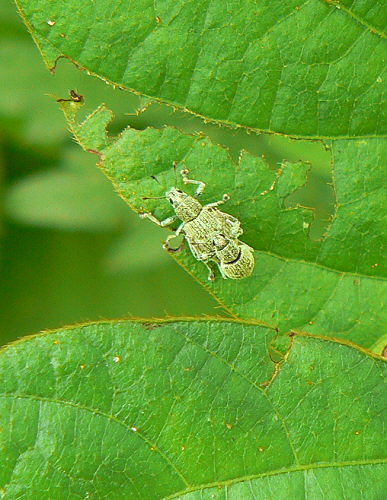 d0091754_022551.jpg