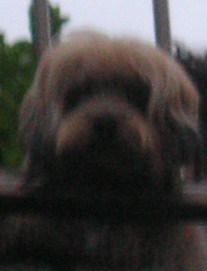 f0082855_125592.jpg
