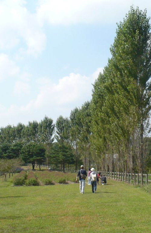 a0063364_02620100.jpg