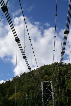 a0091666_873939.jpg