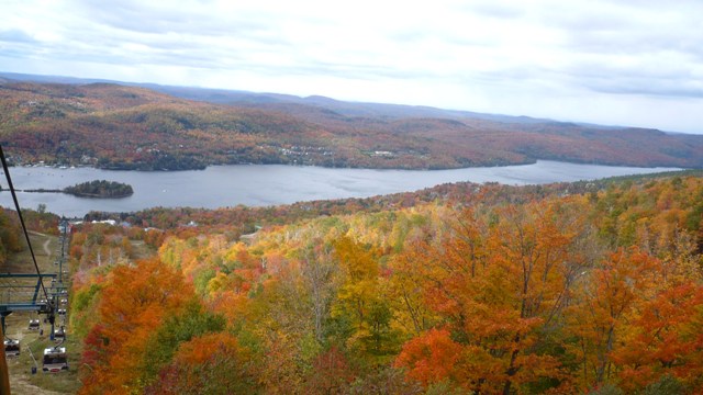 a0100975_11594775.jpg