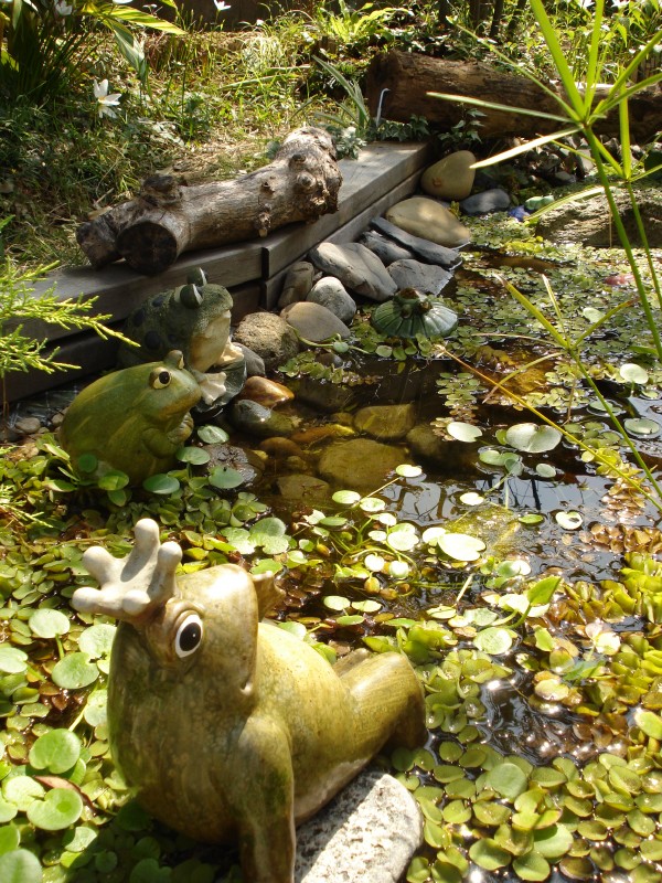 f0165677_1743735.jpg