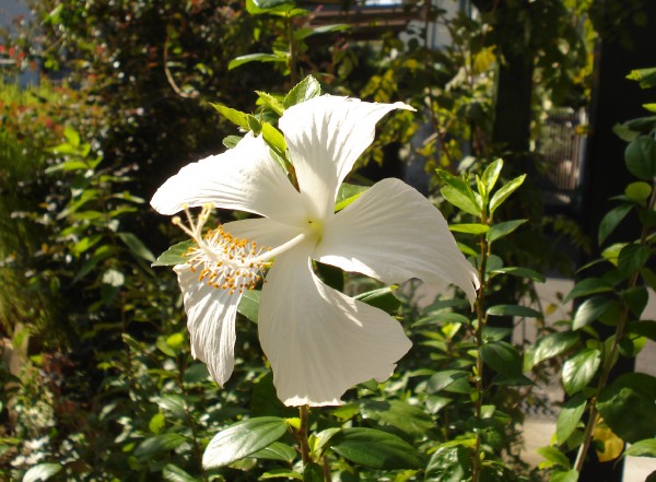 f0165677_175342.jpg