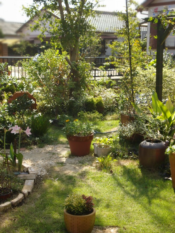 f0165677_176986.jpg