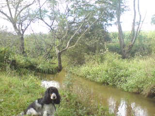 f0061678_2210459.jpg