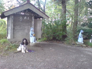 f0061678_2211561.jpg