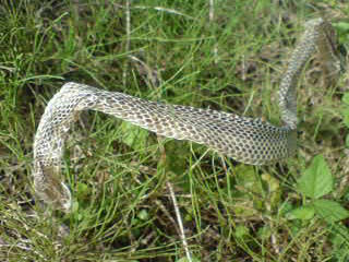 f0061678_2213737.jpg