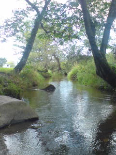 f0061678_2264956.jpg