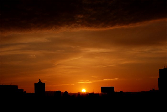 f0108478_1003793.jpg