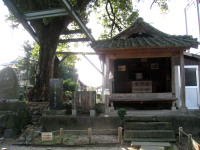 c0152779_1523826.jpg