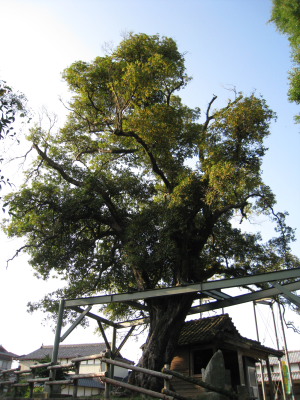 c0152779_320506.jpg