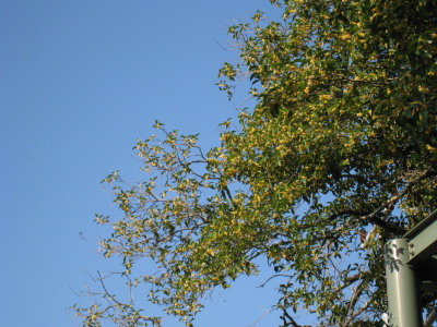c0152779_3211015.jpg