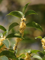 c0152779_9171344.jpg