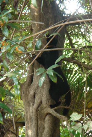 c0135480_2031361.jpg