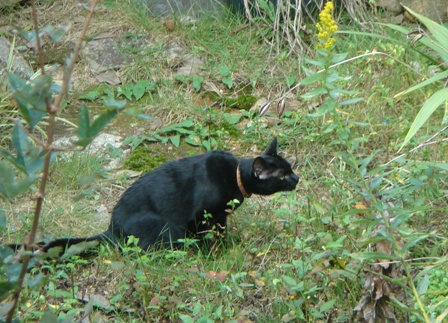 c0135480_20344642.jpg