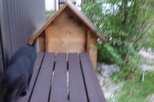 c0135480_20495716.jpg
