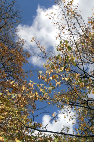 b0121884_852333.jpg