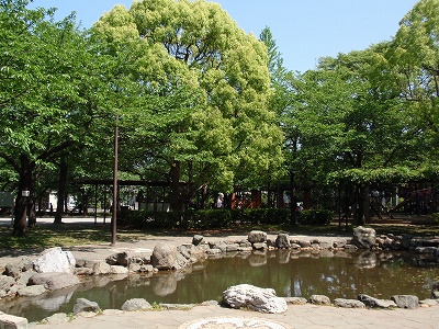 c0105785_9263738.jpg