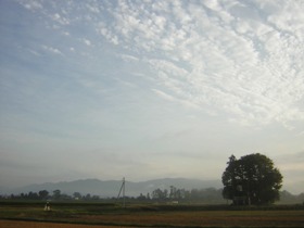 a0034487_21471856.jpg