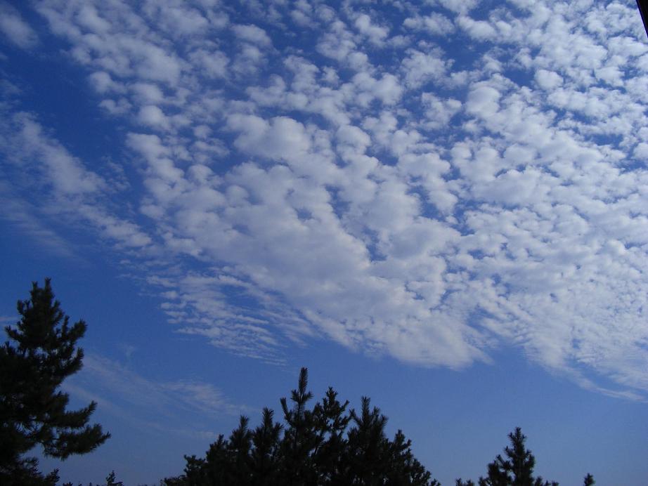 f0131491_16535784.jpg