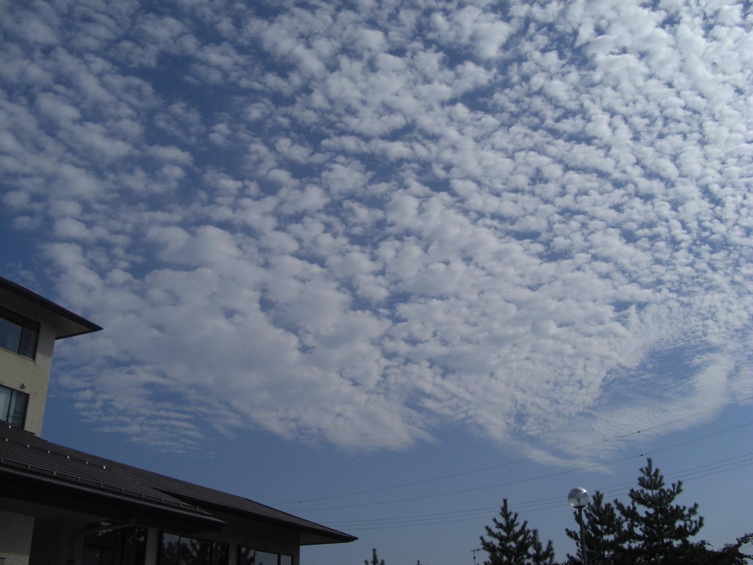 f0131491_1654183.jpg